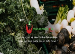 Trần Gia – Nguyên Liệu Rau Sạch Tin Cậy Cho Nhà Hàng, Siêu Thị & Hệ Thống Bán Lẻ Tại Tp.HCM