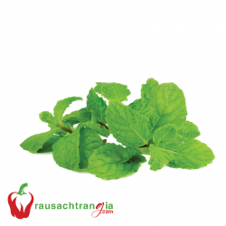 RAU SẠCH - HÚNG LỦI
