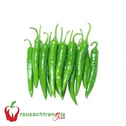 RAU SẠCH - ỚT SỪNG XANH HÀN QUỐC