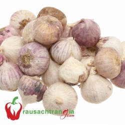 RAU SẠCH - TỎI CÔ ĐƠN