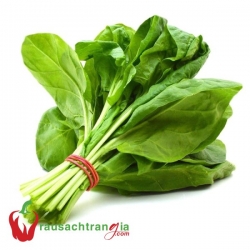 RAU SẠCH - CẢI BÓ XÔI