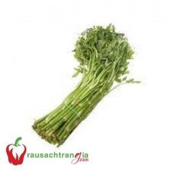RAU SẠCH - CẦN NƯỚC