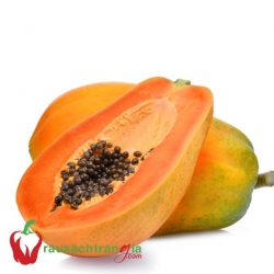 ĐU ĐỦ CHÍN