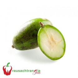 RAU SẠCH - CÓC NON