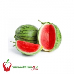 RAU SẠCH - DƯA HẤU KHÔNG HẠT