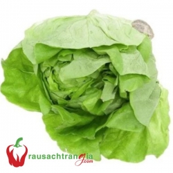 RAU SẠCH - XÀ LÁCH MỠ