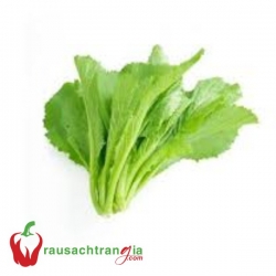 RAU SẠCH - CẢI BẸ XANH