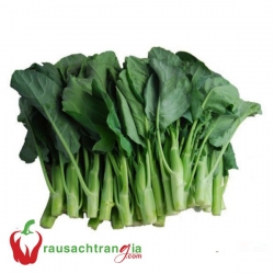 RAU SẠCH - CẢI RỔ