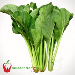 RAU SẠCH - CẢI NGỌT