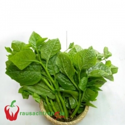 RAU SẠCH - MỒNG TƠI