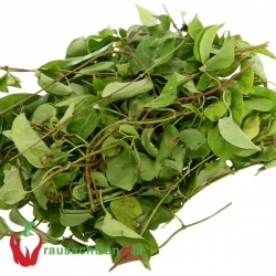 RAU SẠCH - LÁ GIANG