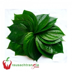RAU SẠCH - LÁ LỐT
