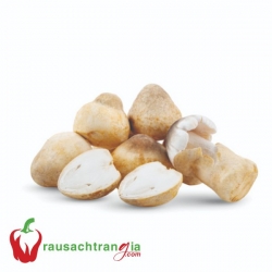 RAU SẠCH - NẤM RƠM