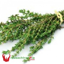 RAU SẠCH - THYME - XẠ HƯƠNG