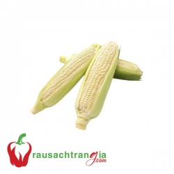 RAU SẠCH - BẮP NẾP