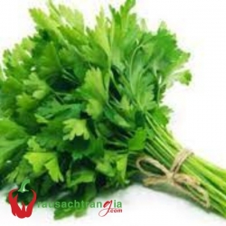 RAU SẠCH - NGÒ TÂY (Parsley)