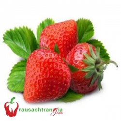 RAU SẠCH - DÂU TÂY ĐL