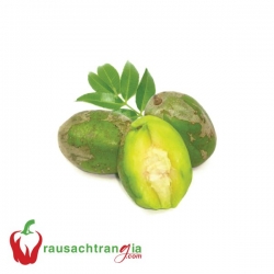 RAU SẠCH - CÓC TRÁI