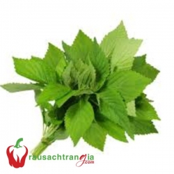 RAU SẠCH - KINH GIỚI