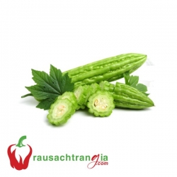 RAU SẠCH - KHỔ QUA - MƯỚP ĐẮNG