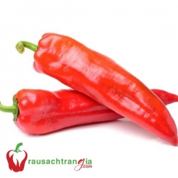 RAU SẠCH - ỚT SỪNG