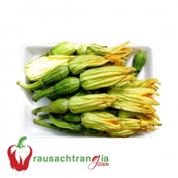 RAU SẠCH - BÍ NỤ