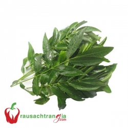 RAU RỪNG TÂY NINH - LÁ CÓC