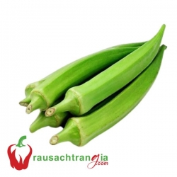 RAU SẠCH - ĐẬU BẮP