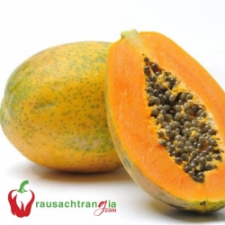 RAU SẠCH - ĐU ĐỦ CHÍN