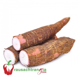 RAU SẠCH - KHOAI MÌ