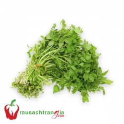 RAU SẠCH - XÀ LÁCH XOONG ĐALAT