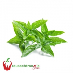 RAU SẠCH - LÁ É