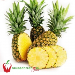 RAU SẠCH - THƠM TRÁI
