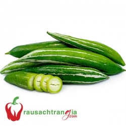 RAU SẠCH - KHỔ QUA TÂY