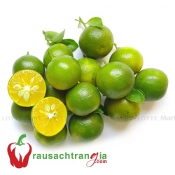 RAU SẠCH - TẮC TRÁI
