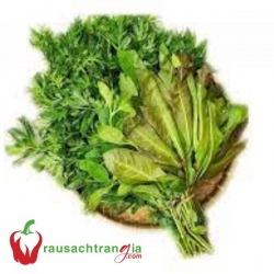 RAU RỪNG TÂY NINH CÁC LOẠI