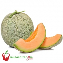 RAU SẠCH - DƯA LƯỚI