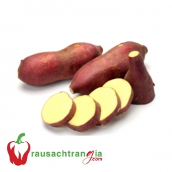 RAU SẠCH - KHOAI LANG NHẬT