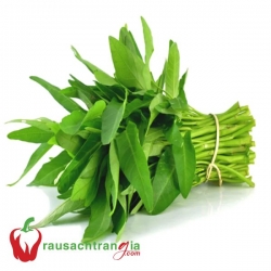 RAU SẠCH - RAU MUỐNG LÁ
