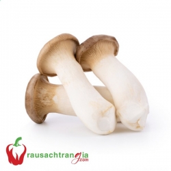 RAU SẠCH - NẤM ĐÙI GÀ