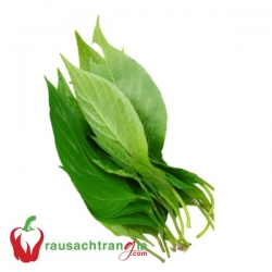 RAU SẠCH - LẤ CẨM