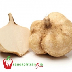 RAU SẠCH - CỦ SẮN