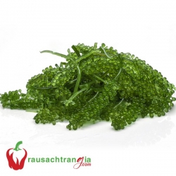 RAU SẠCH - RONG NHO