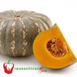 RAU SẠCH - BÍ ĐỎ TRÒN