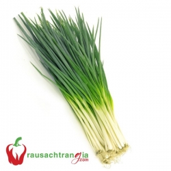 RAU SẠCH - HÀNH LÁ