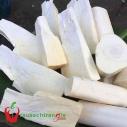 RAU SẠCH - CỦ HỦ DỪA