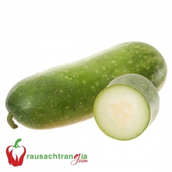 RAU SẠCH - BÍ ĐAO (BÍ XANH)