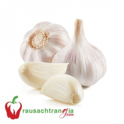 RAU SẠCH - TỎI LÝ SƠN
