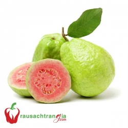 RAU SẠCH - ỔI RUỘT ĐỎ