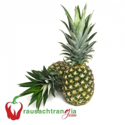 RAU SẠCH - THƠM TRÁI XANH